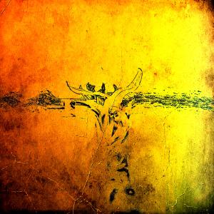 收听코헤르的Don't Look At Me (Feat. Bluelk (블루엘크))歌词歌曲