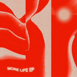 Qant的专辑More Life
