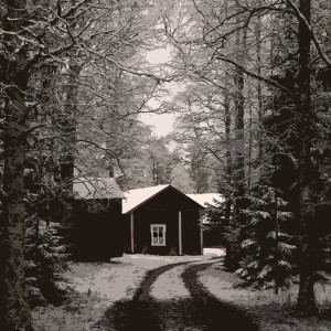 收听Cliff Richard的She's Gone歌词歌曲