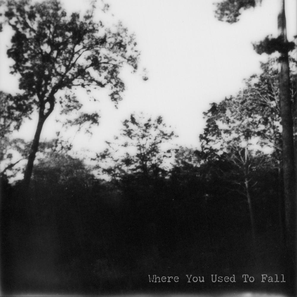 Where You Used To Fall