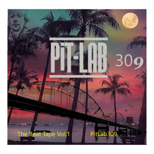Listen to Chill Bro song with lyrics from Pitlab309