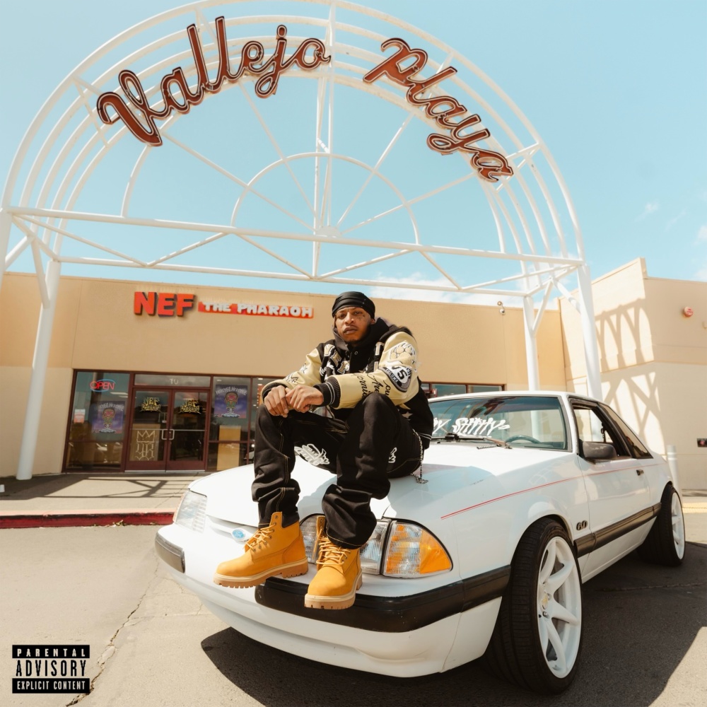 Hot Boyz (Explicit)
