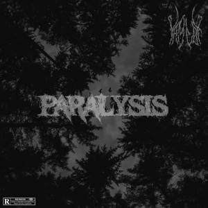 Listen to Paralysis song with lyrics from NAMiDA