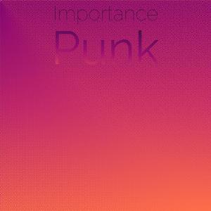 Importance Punk dari Various