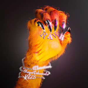 ดาวน์โหลดและฟังเพลง RAWR (Explicit) พร้อมเนื้อเพลงจาก Clementaum