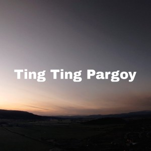 Listen to Ting Ting Pargoy song with lyrics from DJ SOPAN