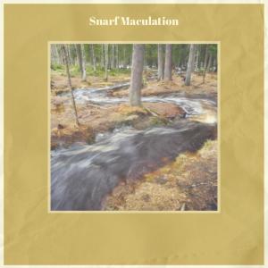Album Snarf Maculation oleh Various