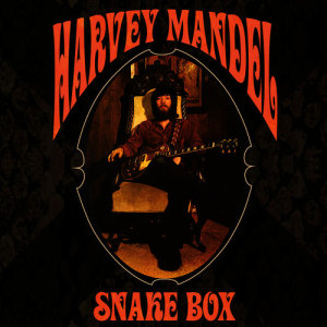 收聽Harvey Mandel的Righteous歌詞歌曲