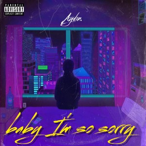 Listen to Baby I'm so sorry (完整版) song with lyrics from Aydin