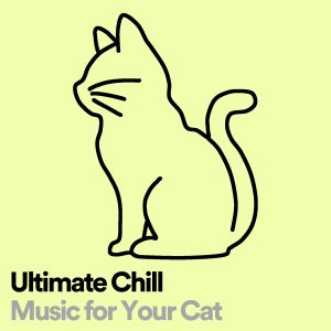 Album Ultimate Chill Music for Your Cat from Cats Music Zone