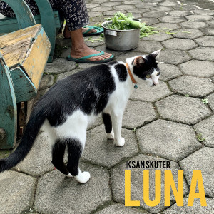 Album Luna oleh Iksan Skuter