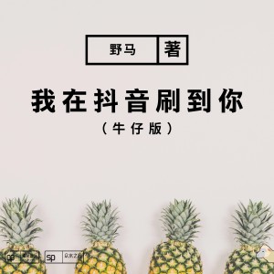 收聽野馬的我在抖音刷到你 （牛仔版） (其他)歌詞歌曲