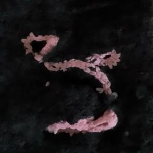 Ral的專輯sans titre 2 (feat. N4LI) [Explicit]