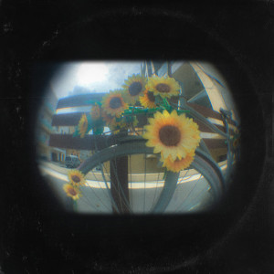 Album sunflower! from Emma Castellino