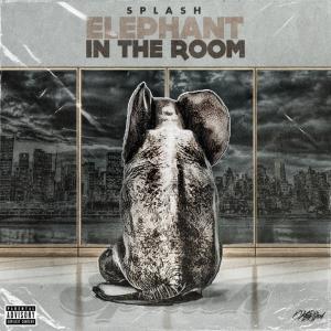 Album Elephant In The Room (Explicit) from Splash