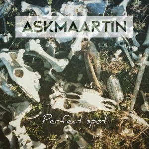 Ask Maartin的專輯Perfect Spot