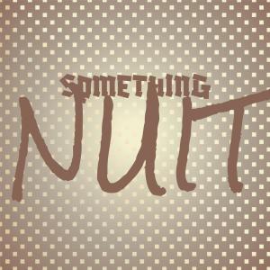 Various Artists的專輯Something Nuit