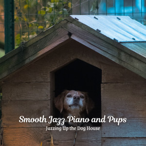 Piano: Classical Relaxation的专辑Smooth Jazz Piano and Pups: Jazzing Up the Dog House