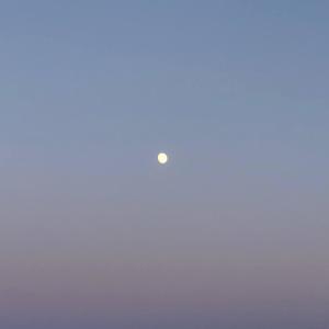 Album mind from 