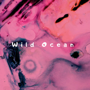 ดาวน์โหลดและฟังเพลง Wild Ocean พร้อมเนื้อเพลงจาก JOGGY IF