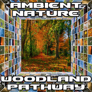 Listen to Woodland Pathway (Original) song with lyrics from Ambient Nature