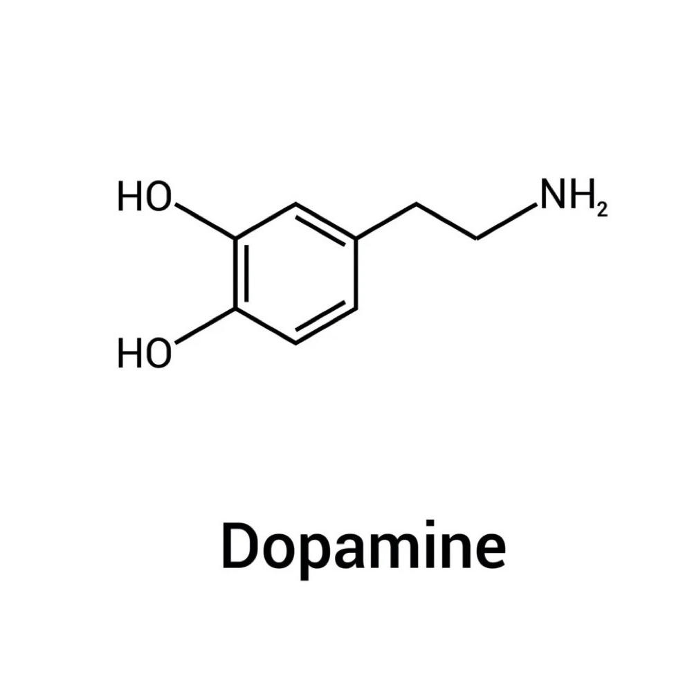 DOPAMINE (Explicit)