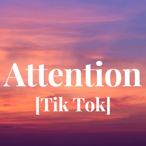 Listen to Attention [Tik Tok] song with lyrics from Carlie Puth