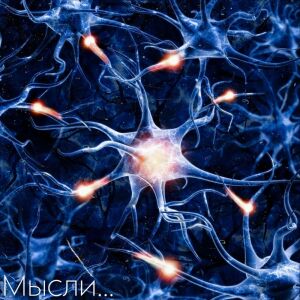 Listen to Мысли song with lyrics from Gray Gray