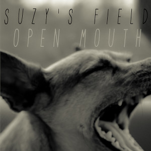 อัลบัม Open Mouth (feat. Jonathan Rhys Meyers) ศิลปิน Jonathan Rhys Meyers