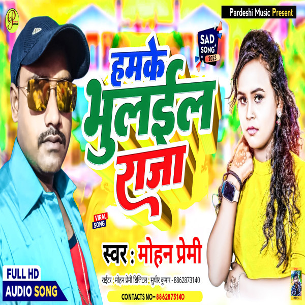Hamke Bhulaila Raja