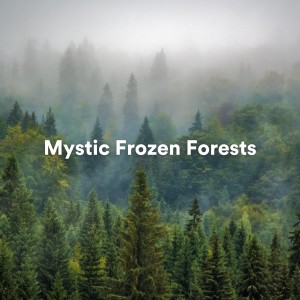 Album Mystic Frozen Forests oleh Calm Stress Relief