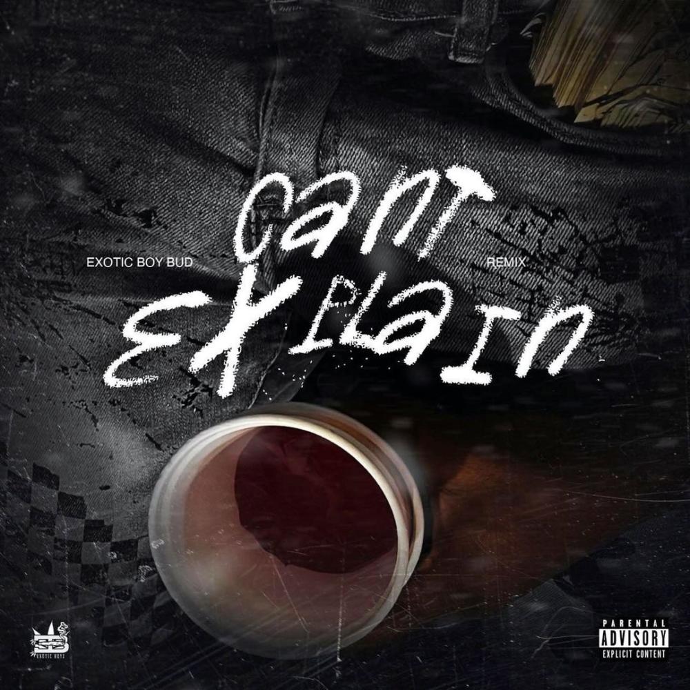 Can't Explain (Remix) (Explicit) (Remix|Explicit)
