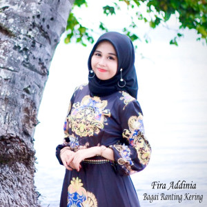 Dengarkan Bagai Ranting Kering lagu dari Fira Addinia dengan lirik