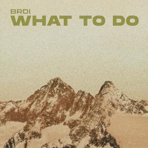 BRDI的专辑What to Do