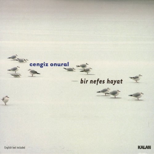 Kırlangıç (其他)