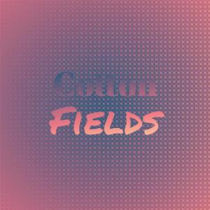 Listen to Percolator song with lyrics from Billy Joe & The Checkmates