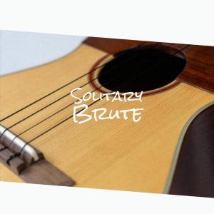 Various的专辑Solitary Brute