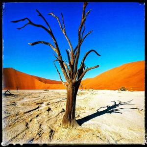 Listen to namib song with lyrics from Blanxon