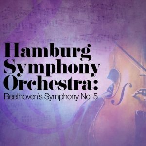 ดาวน์โหลดและฟังเพลง Symphony No. 5 in C Minor, Op. 67: II. Andante con moto พร้อมเนื้อเพลงจาก Hamburg Symphony Orchestra
