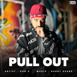 Album Pull Out from 