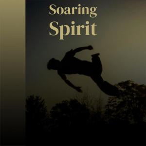 Various Artists的專輯Soaring Spirit