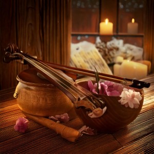 Chakra Dreamers的專輯Orchestra Music for Spa: Calming Touch Harmonies