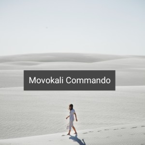 Album Movokali Commando (Remix) from ARI FAOT