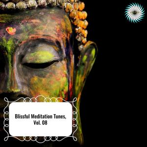 Various的专辑Blissful Meditation Tunes, Vol. 08