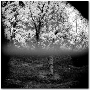 Album FRACTURE (Explicit) from SOULOC8