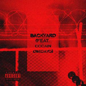Album Backyard (feat. Cocain Omidayo) (Explicit) from Gee Peacemaker
