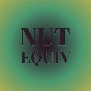 Listen to Oeuvre Idem song with lyrics from Quinty Anke