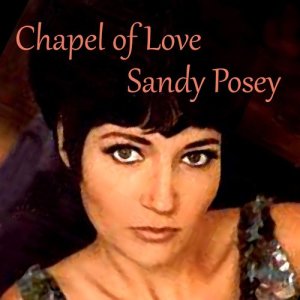收聽Sandy Posey的Don't歌詞歌曲