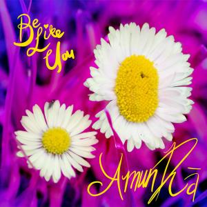 Album Be Like You from Amun Ra