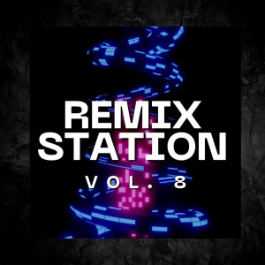 Various Artists的專輯Remix Station Vol. 8 (Explicit)